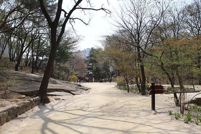 The visitor path at Jeongneung, where Architecture 101’s photography assignment brings the pair together.