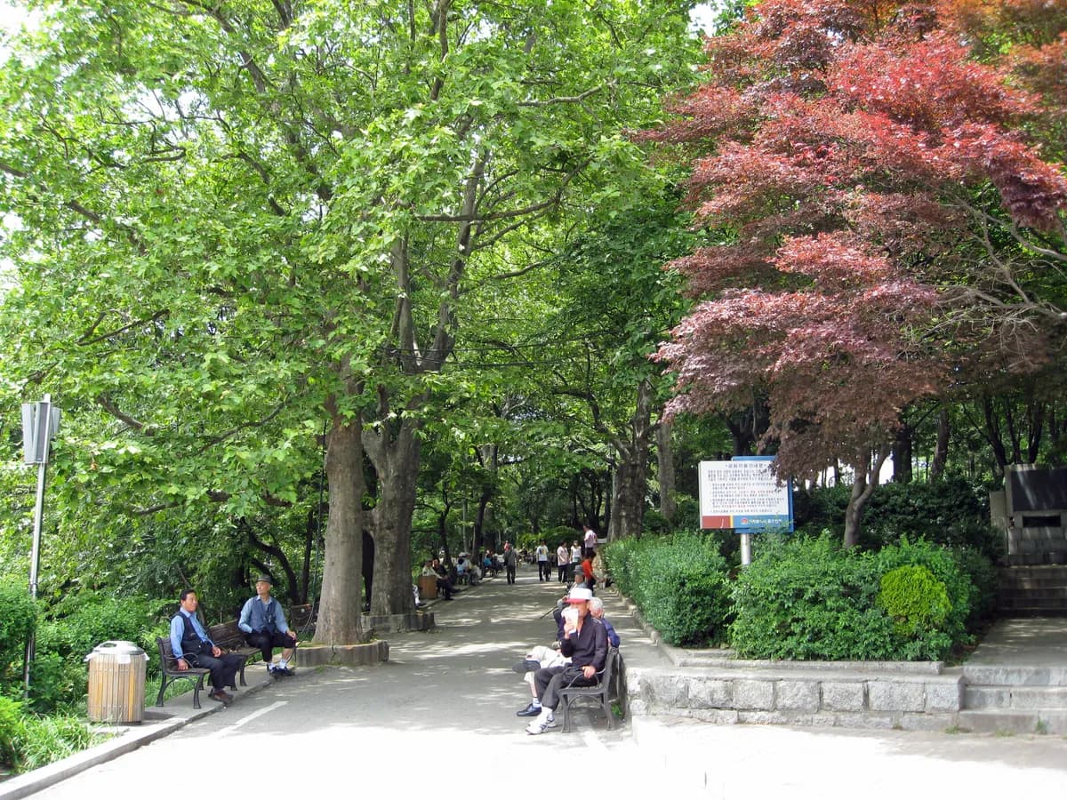 A shaded walkway in Jayu Park, photographed in 2008. The park is the setting of Tae-moo and Ha-ri’s final proposal.