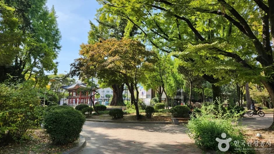 Cheongju Jungang Park, where Dong-eun learns baduk.
