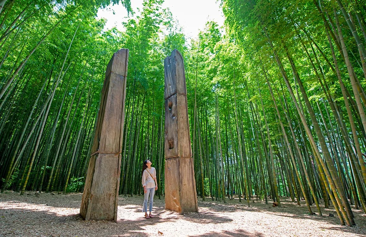 The bamboo gateway at Ahopsan Forest