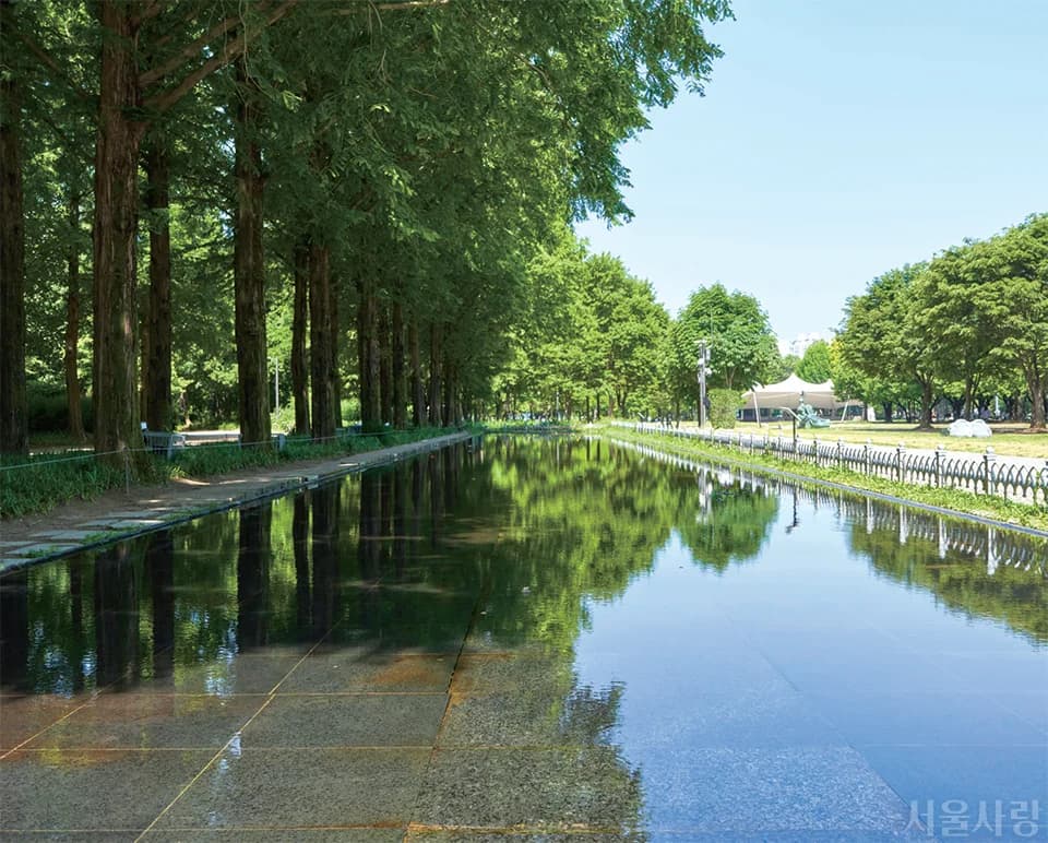 Seoul Forest Mirror Pond, used for Gu-won and Do-hee’s date