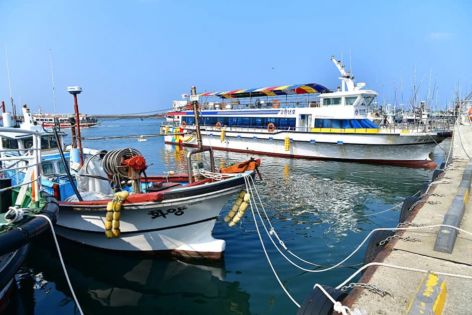 Hallim Port, the setting of the opening fish auction.