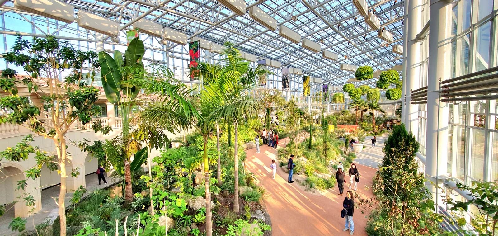 Inside the Irwol Arboretum greenhouse in Suwon, photographed in 2023.