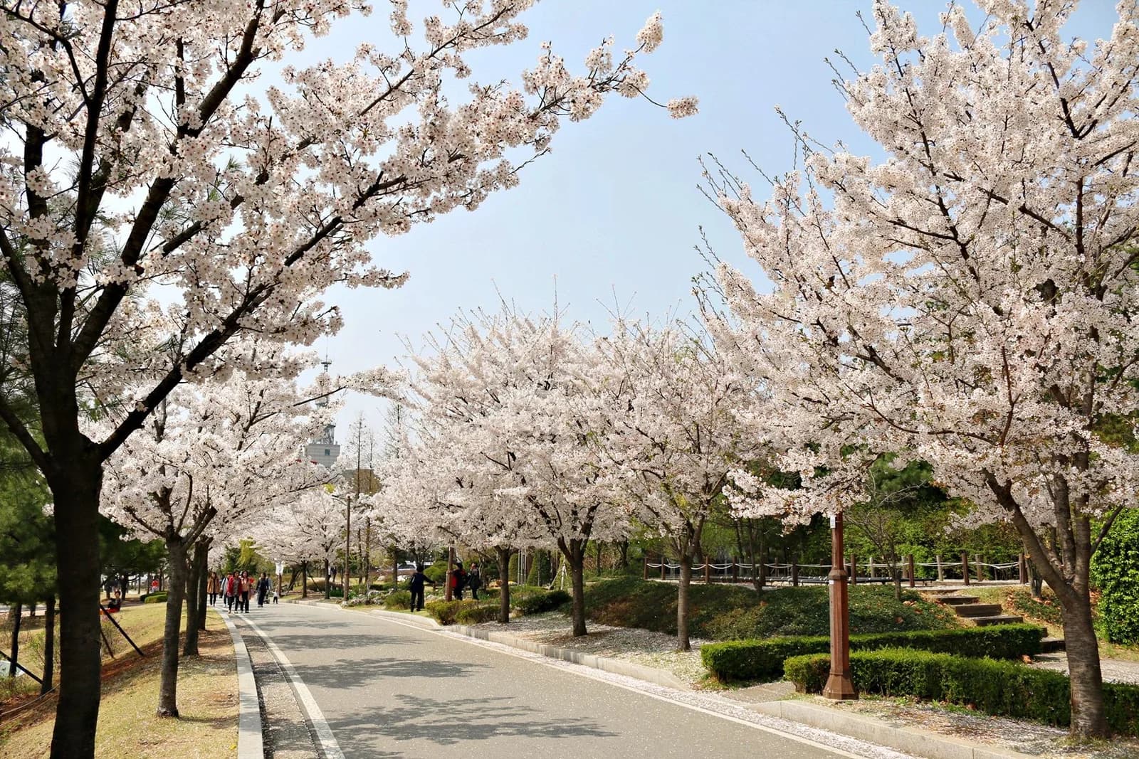 Boramae Park, the setting of Bong-soon and Min-hyuk’s awkward date