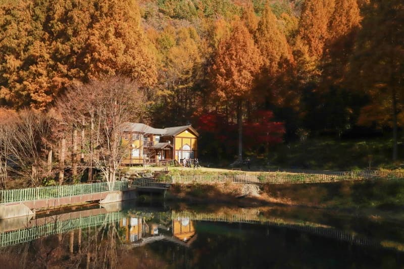 The yellow house reflected in the pond at Onbit Forest, Nonsan.