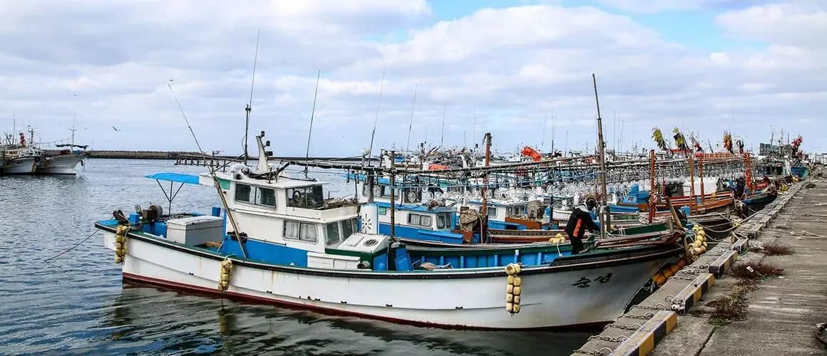 Fishing boats at Hallim Port, where the family welcomes Eun-myeong home.